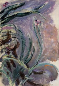 Claude Oscar Monet : Irises III